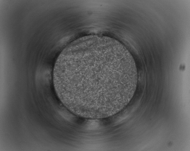 X0000101180127200807250948