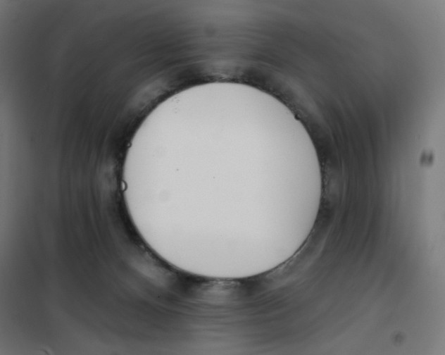 X0000101180128200807250948