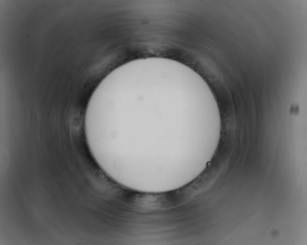 X0000101180129200807250948