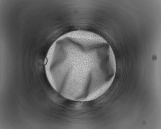 X0000101180130200807250948