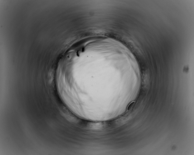 X0000101180131200807250948