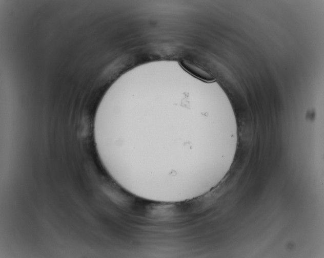 X0000101180132200807250948