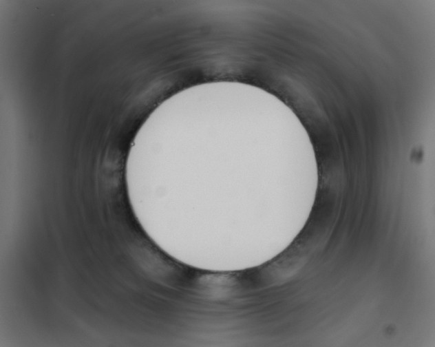 X0000101180133200807250948