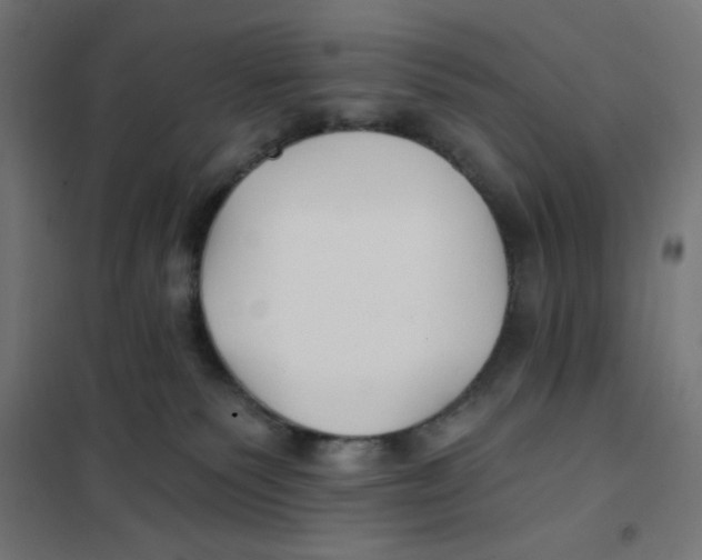 X0000101180135200807250948