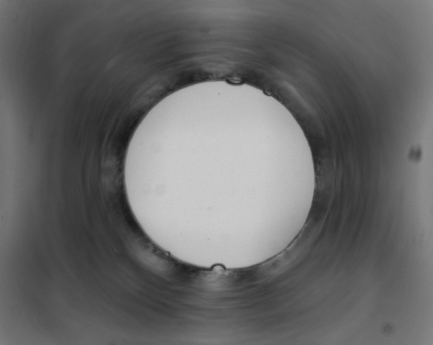 X0000101180136200807250948