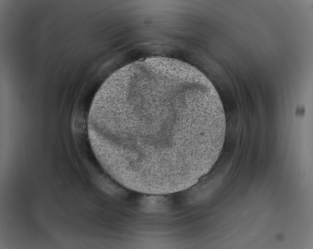 X0000101180137200807250948