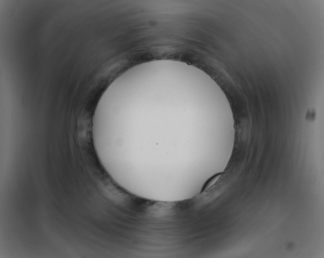 X0000101180138200807250948