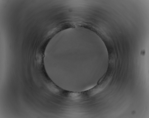 X0000101180139200807250948