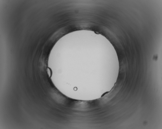 X0000101180140200807250948