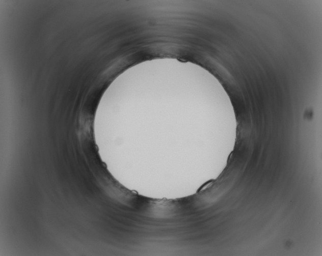 X0000101180141200807250948