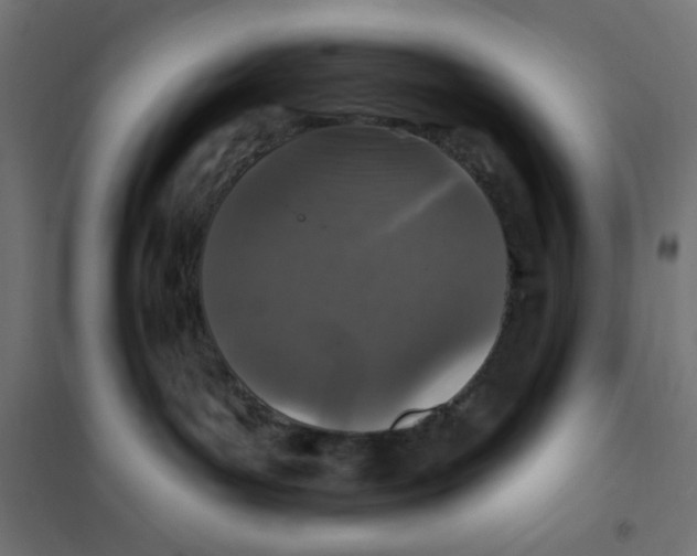 X0000101180143200807250948