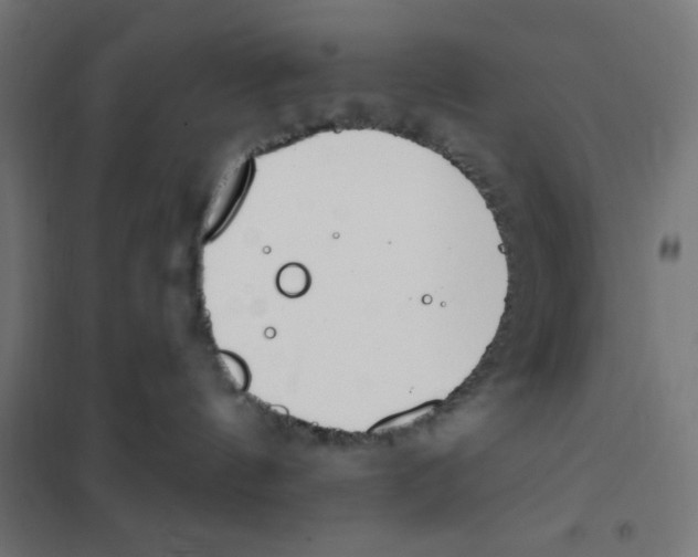 X0000101180144200807250948