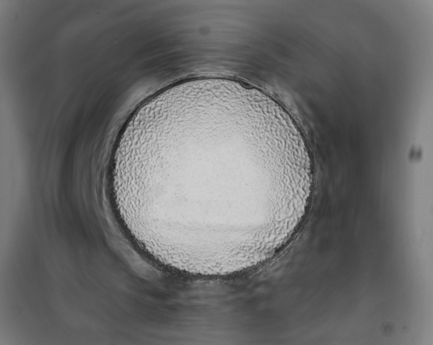 X0000101180145200807250947