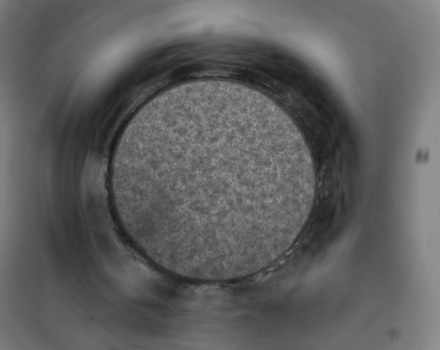 X0000101180146200807250947