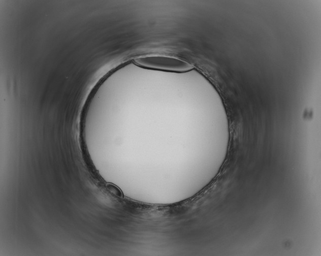 X0000101180148200807250947