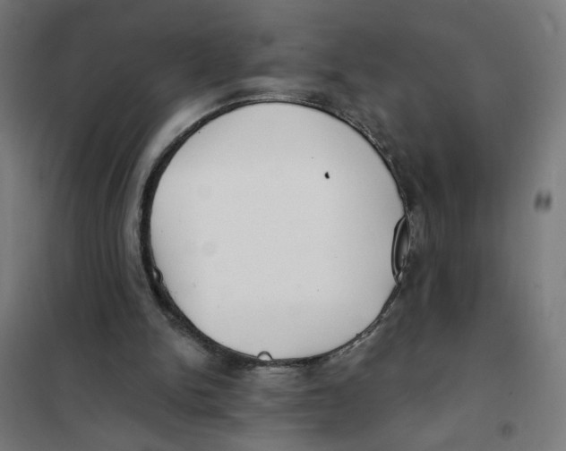 X0000101180150200807250947