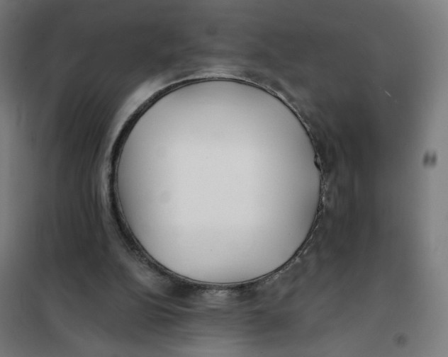 X0000101180152200807250948