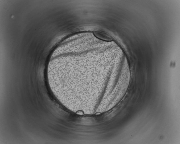 X0000101180154200807250948