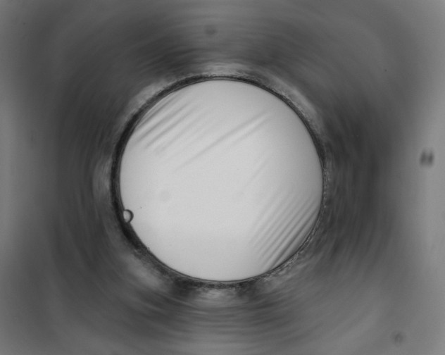 X0000101180155200807250948