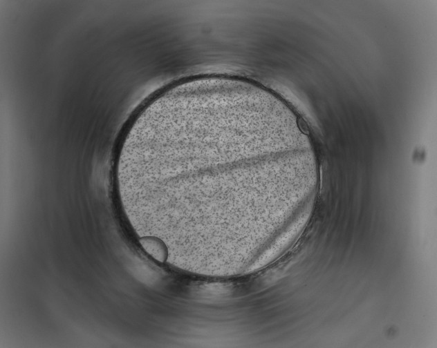 X0000101180156200807250948