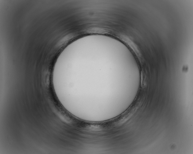 X0000101180157200807250948