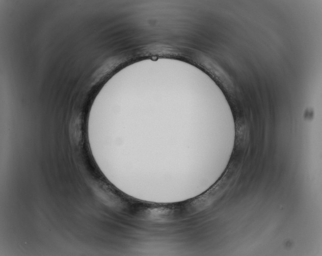 X0000101180158200807250948