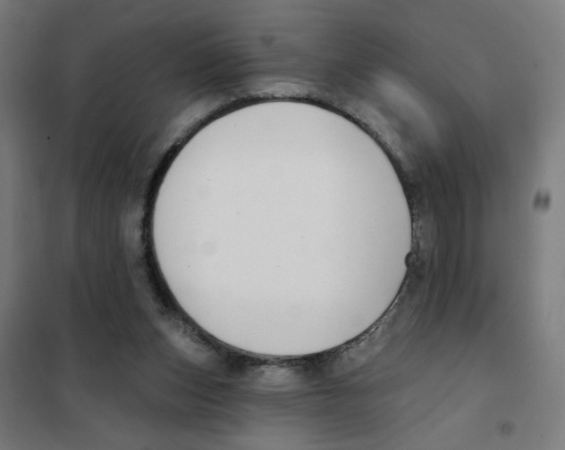 X0000101180159200807250948