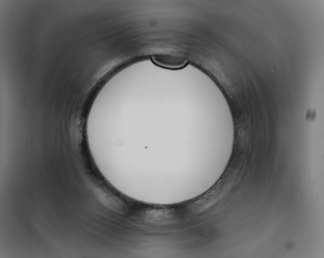 X0000101180160200807250948