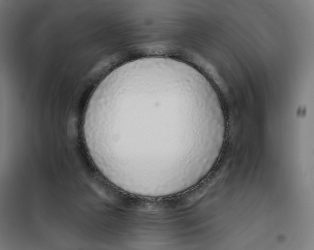 X0000101180161200807250948