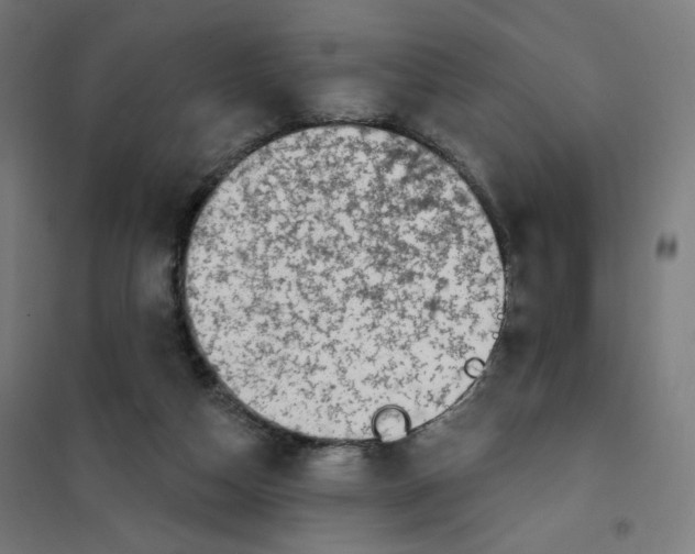 X0000101180162200807250948