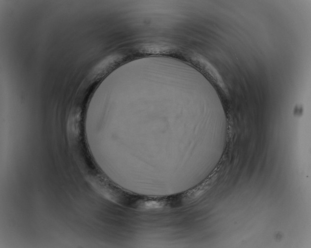 X0000101180163200807250948