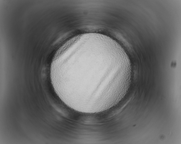 X0000101180165200807250948