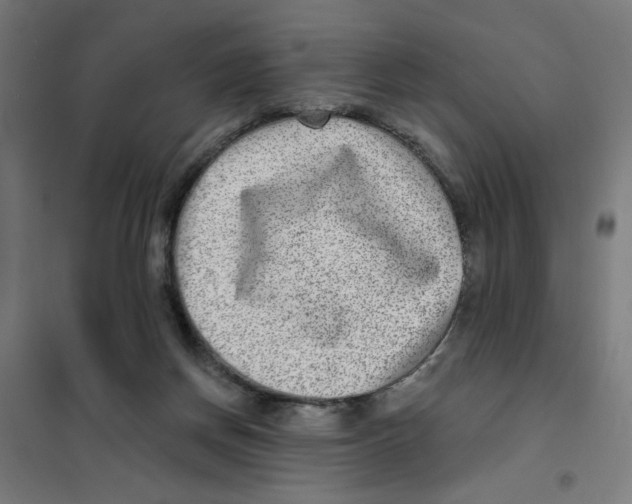 X0000101180166200807250948