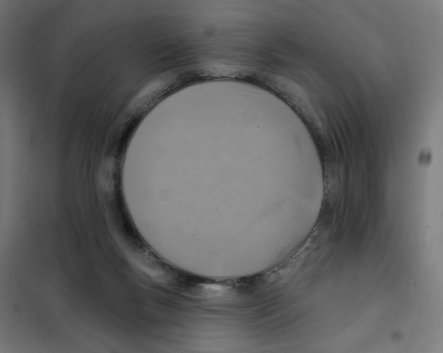 X0000101180167200807250948