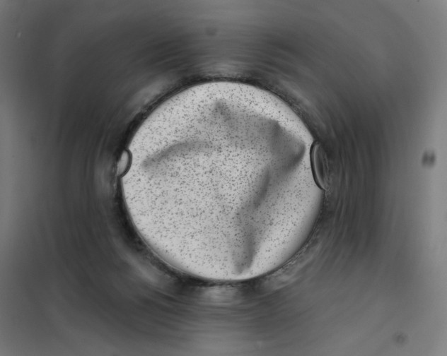 X0000101180168200807250948