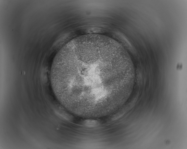 X0000101180169200807250948