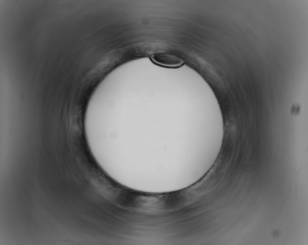 X0000101180170200807250948