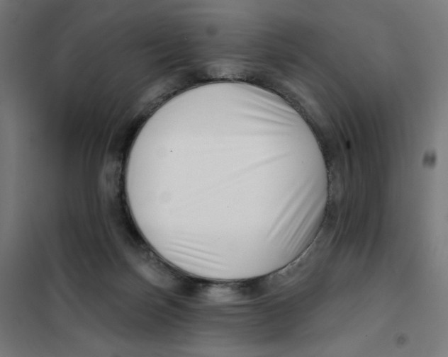 X0000101180171200807250948