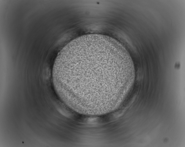 X0000101180173200807250948