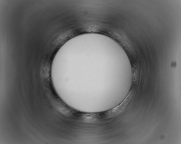 X0000101180175200807250948