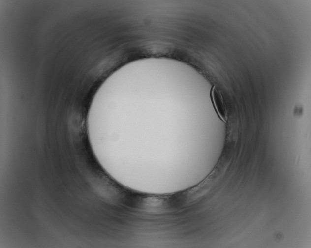 X0000101180176200807250948