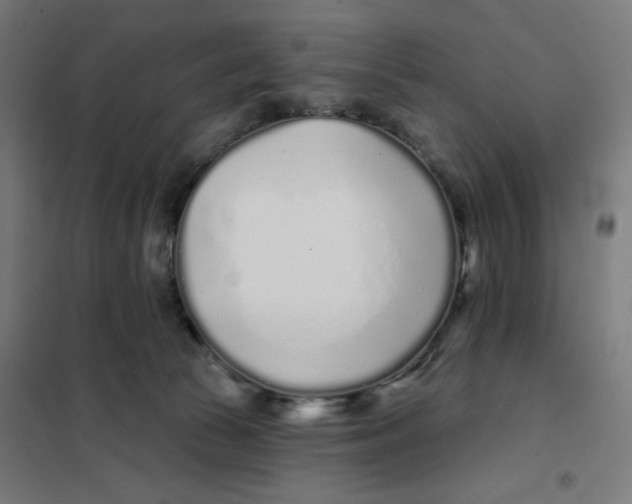 X0000101180177200807250948