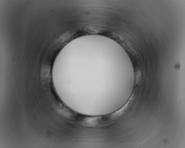 X0000101180178200807250948