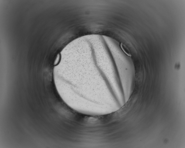 X0000101180180200807250948