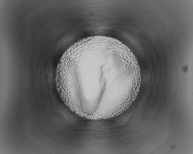 X0000101180181200807250948