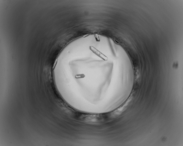 X0000101180182200807250948