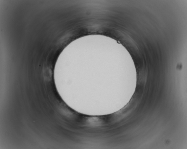 X0000101180183200807250948