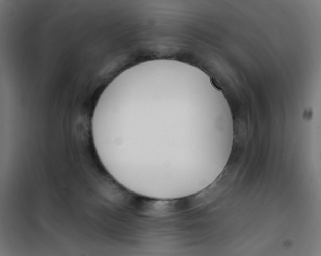 X0000101180184200807250948