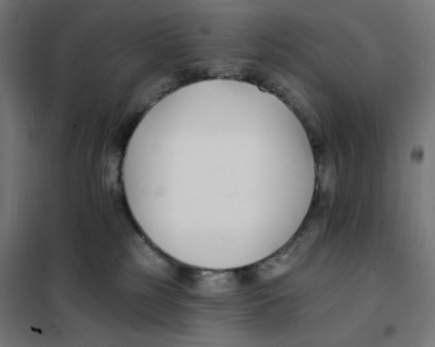 X0000101180185200807250948