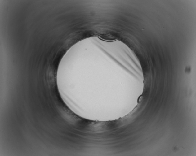 X0000101180186200807250948